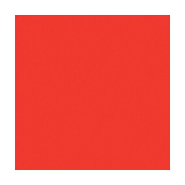 のりカラ 蛍光レッド 5mm厚 B1判 片面のり付き 5NK-B1-FR バラ売り 6300023477 1点