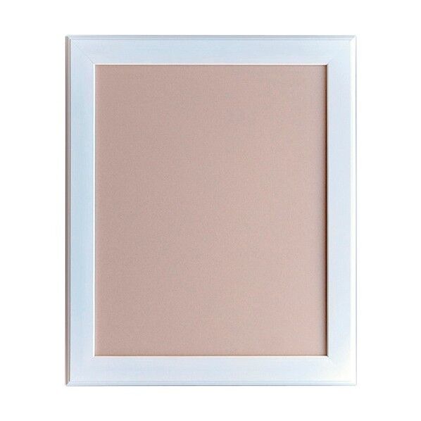 デッサン額 APS-01 B3 屋内用