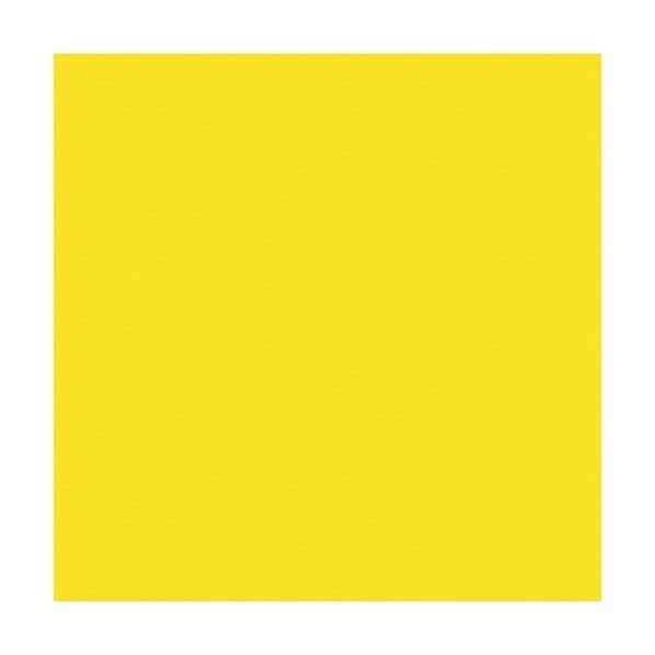 ニューカラーボード イエロー 5mm厚 A1判 素板 BP-5CB-A1-YL バラ売り 6300023621 1点