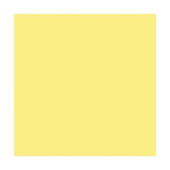 ニューカラーボード クリーム 5mm厚 3X6判 素板 BP-5CB-3X6-CR バラ売り 6300023599 1点