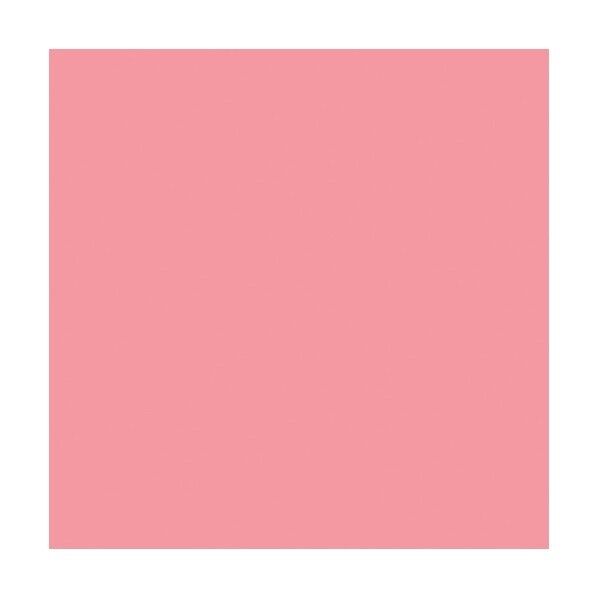 ニューカラーボード コーラルピンク 5mm厚 3X6判 素板 BP-5CB-3X6-CP バラ売り 6300023613 1点