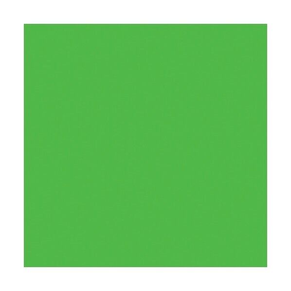 ニューカラーボード 蛍光グリーン 5mm厚 3X6判 素板 BP-5CB-3X6-FG バラ売り 6300023611 1点