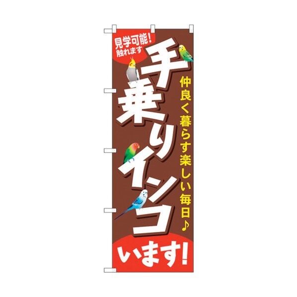 のぼり旗 手乗りインコいます No.GNB-616 W600×H1800 6300014995 1点