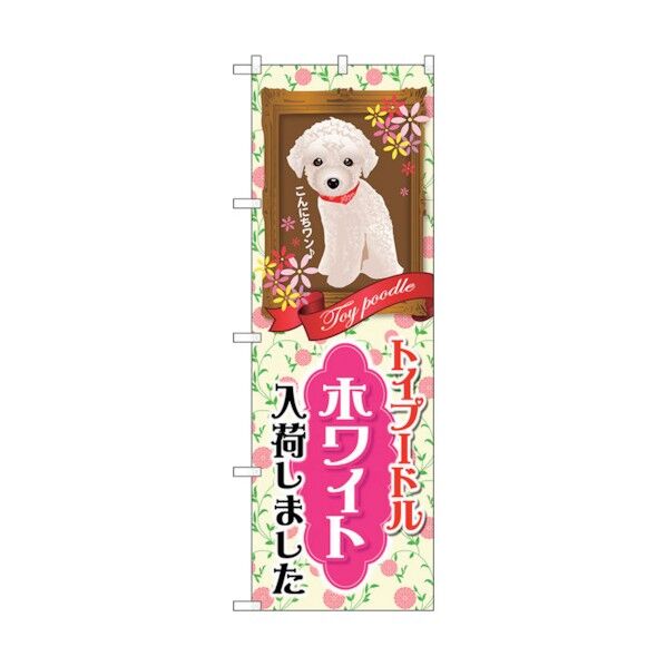 city のぼり旗 トイプードル ホワイト 入荷 No.GNB-2465 W600×H1800 6300013114 1点
