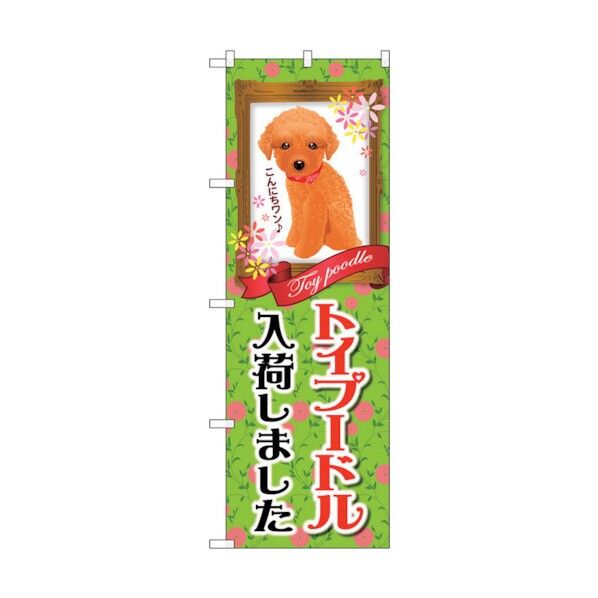city のぼり旗 トイプードル入荷 No.GNB-2467 W600×H1800 6300013116 1点