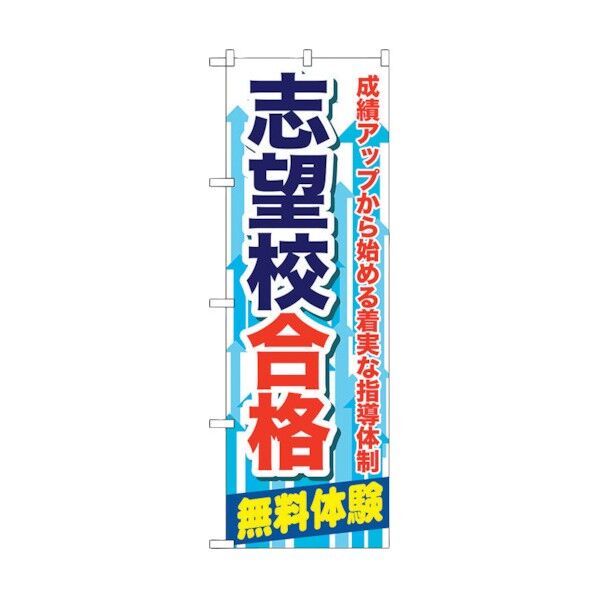 のぼり旗 志望校合格 No.GNB-68 W600×H1800 6300015063 1点