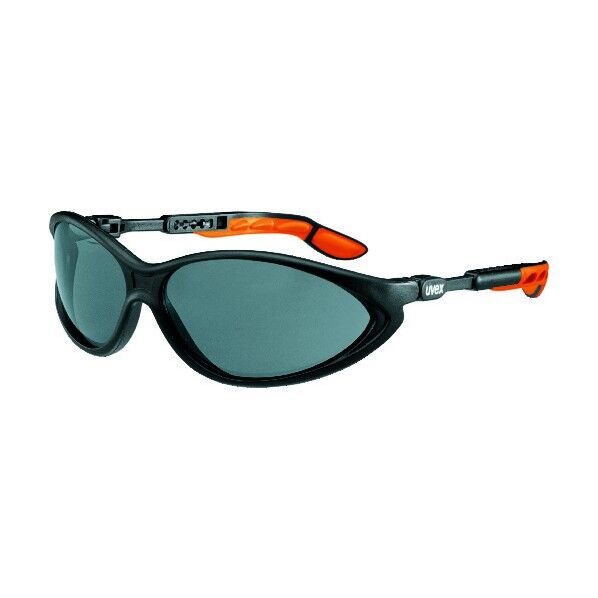 二眼型保護メガネ サイブリック