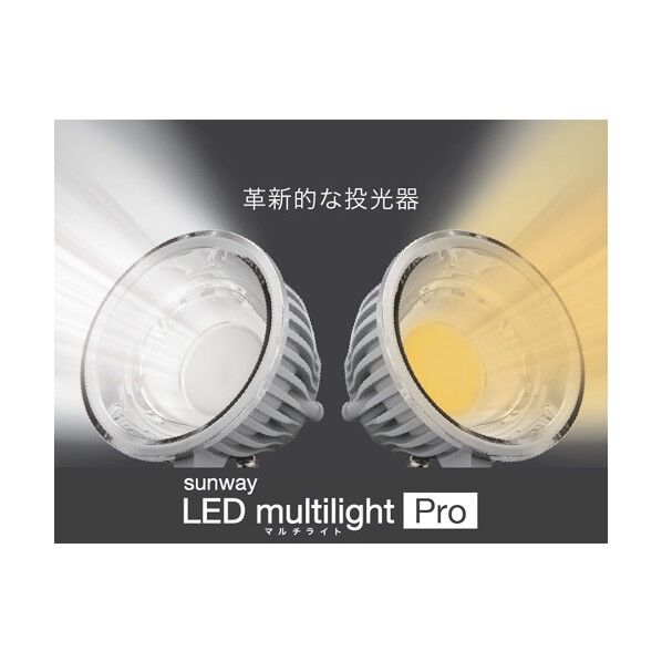 LEDマルチライトPro電球色SW-GL-030EL