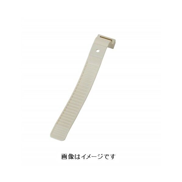 ビッグタイ