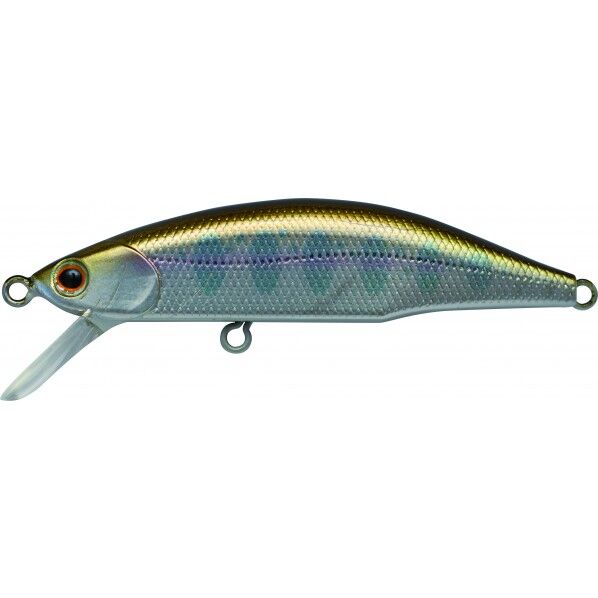 メテオーラ52RY2リアルヤマメ2