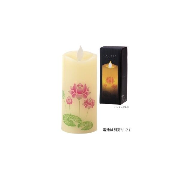 S7687-00-00いろはあかりS蓮