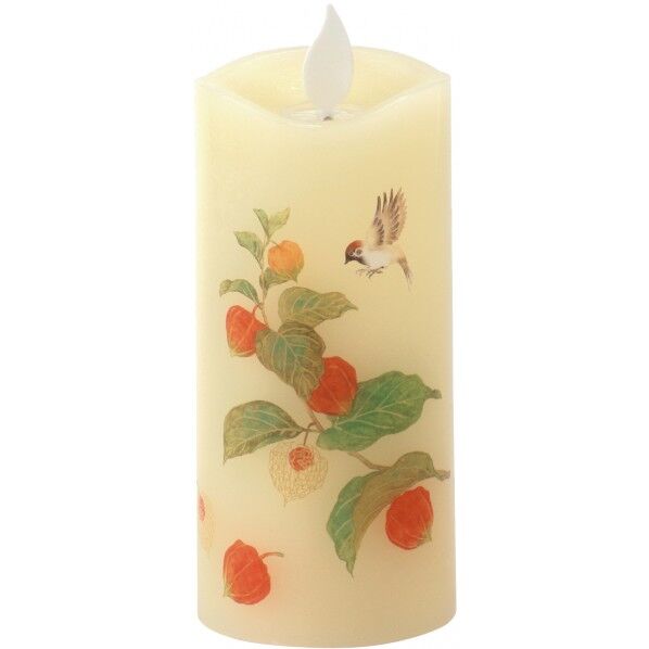 S7687-00-10いろはあかりSホオスﾞキ