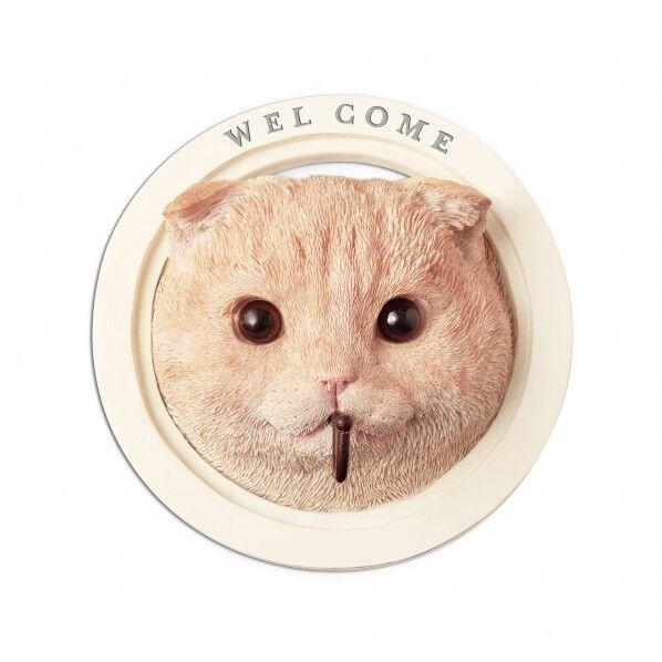 KH-61241パディウォールフック