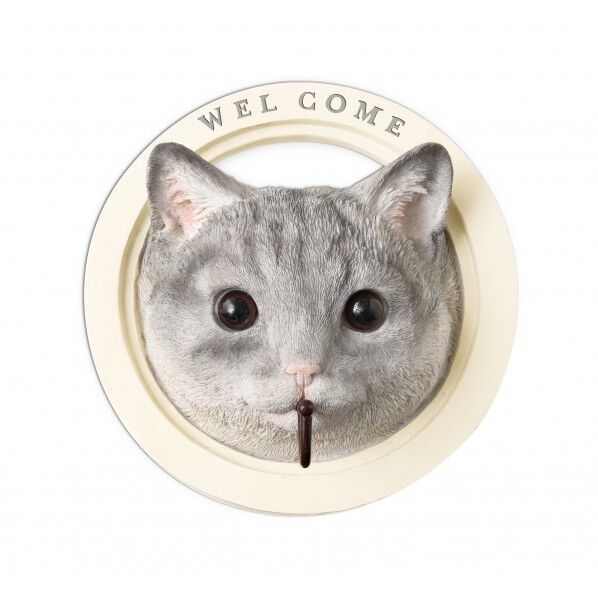 KH-61242パディウォールフック