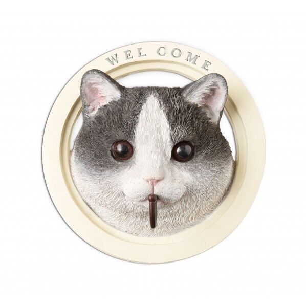 KH-61243ハﾟテﾞィウォールフック