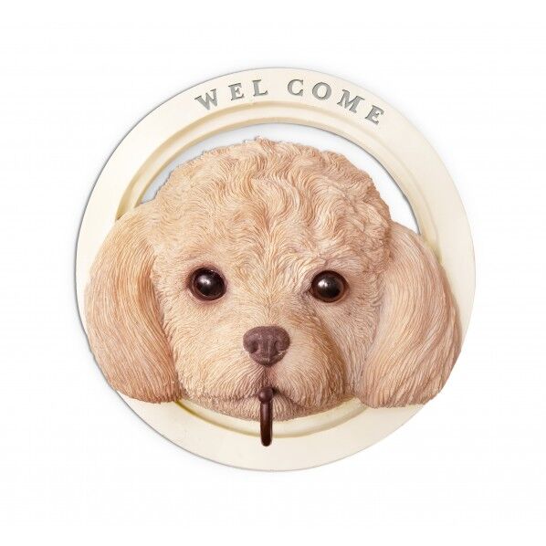 KH-61244パディウォールフック