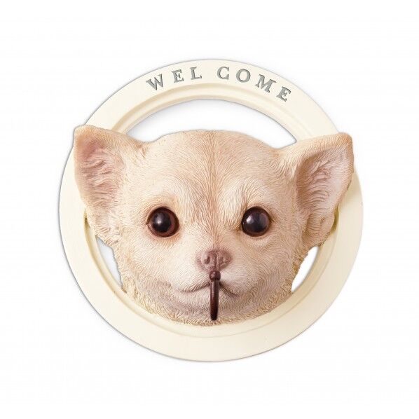 KH-61245パディウォールフック