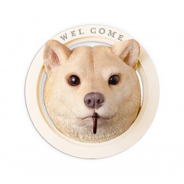 KH-61246パディウォールフック