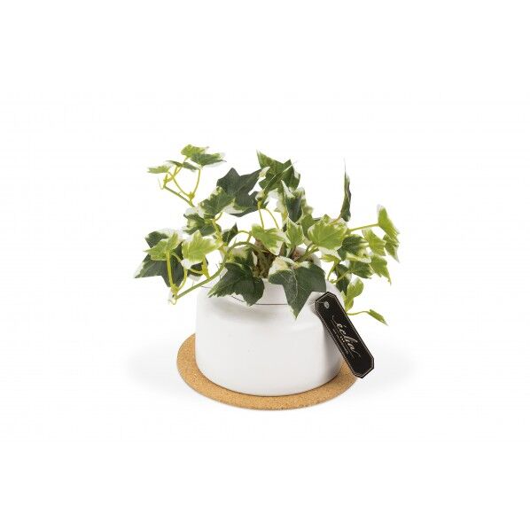 キシマ KH-61252エクリア消臭アーティフィシャルグリーン KH-61252 1点...