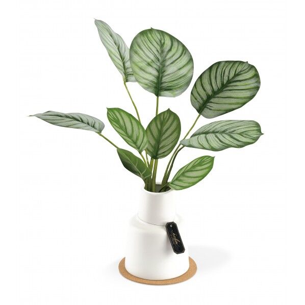 KH-61256エクリア消臭アーティフィシャルグリーン