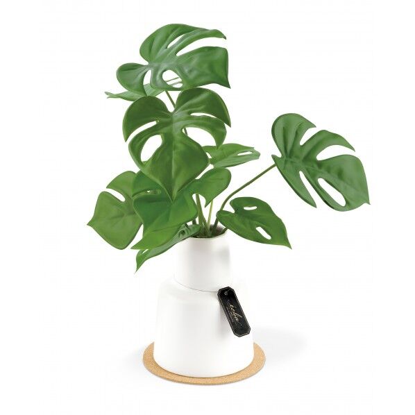 KH-61259エクリア消臭アーティフィシャルグリーン