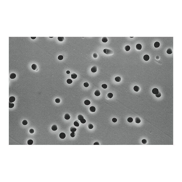 ポリカーボネートタイプメンブレンフィルタ