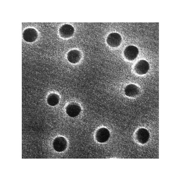 アイソポア・メンブレンフィルタ