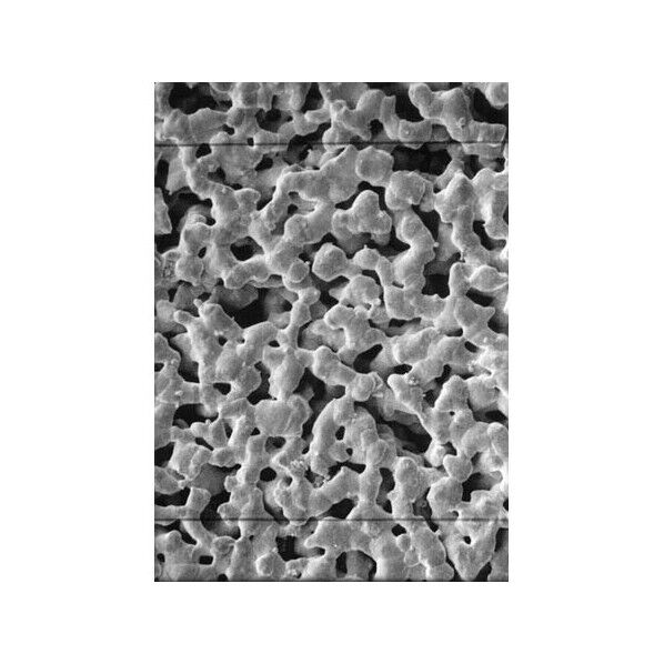 銀メンブレンフィルタ