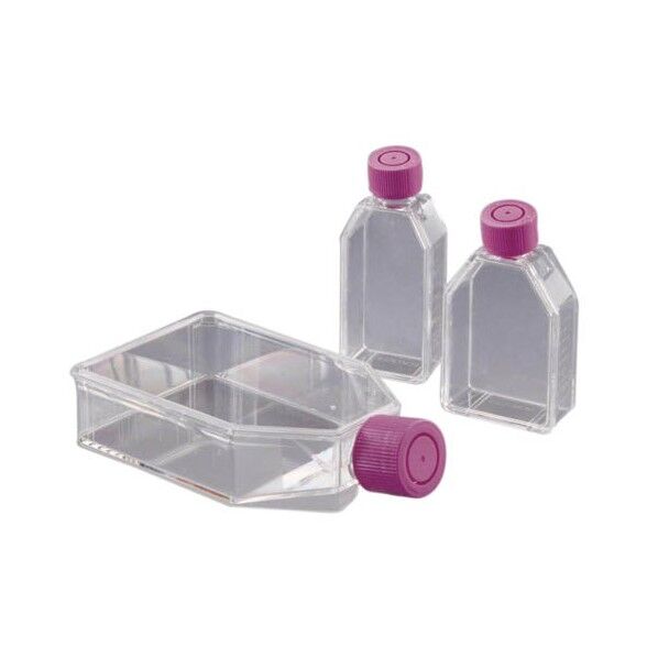 組織培養フラスコ