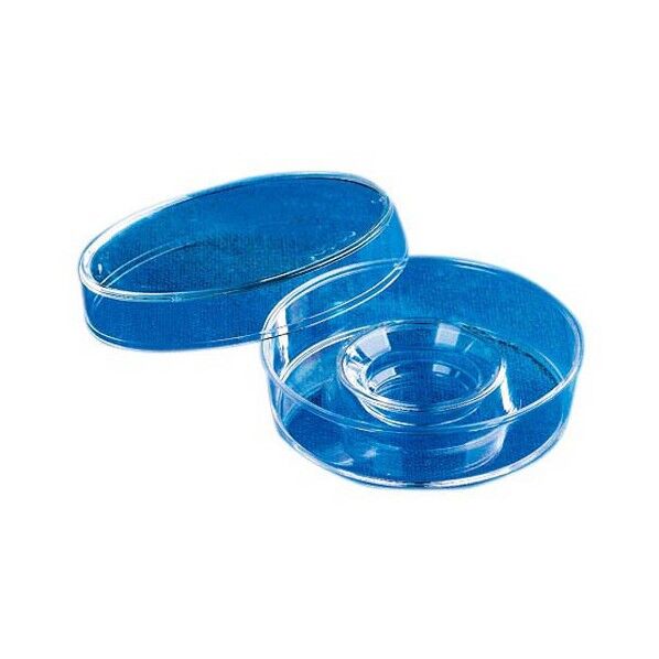 Costar60mmセンターウェルディッシュ