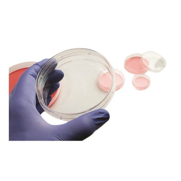 細胞培養ペトリディッシュ 3mL 150460 50包