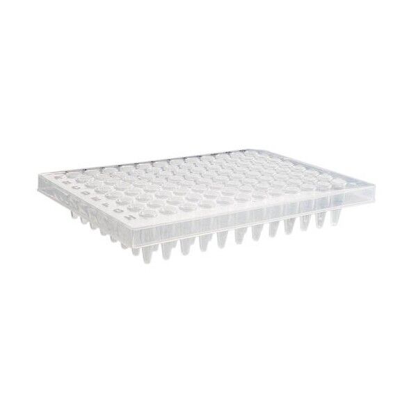 Axygen 低蒸発PCRプレート 340μL 透明 50枚