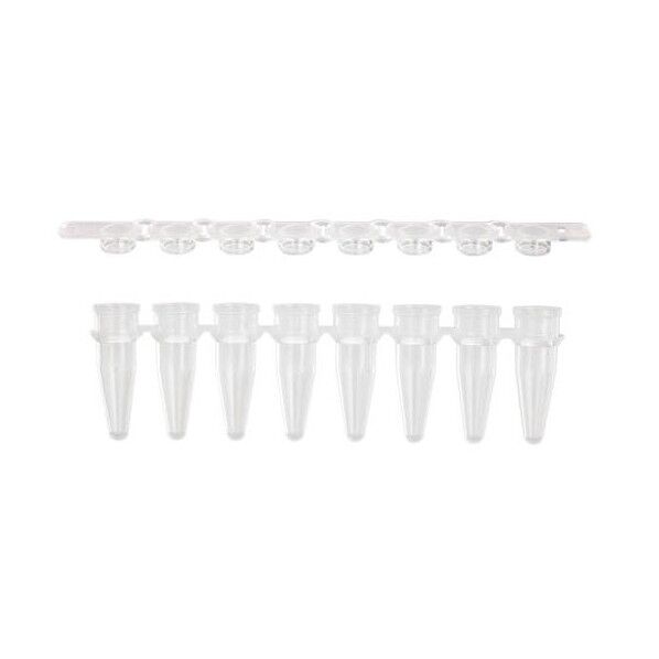 Axygen PCRストリップチューブ 0.2mL マキシクリア 800個