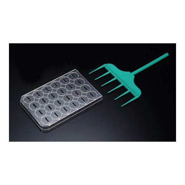 SPLScarスクラッチャー