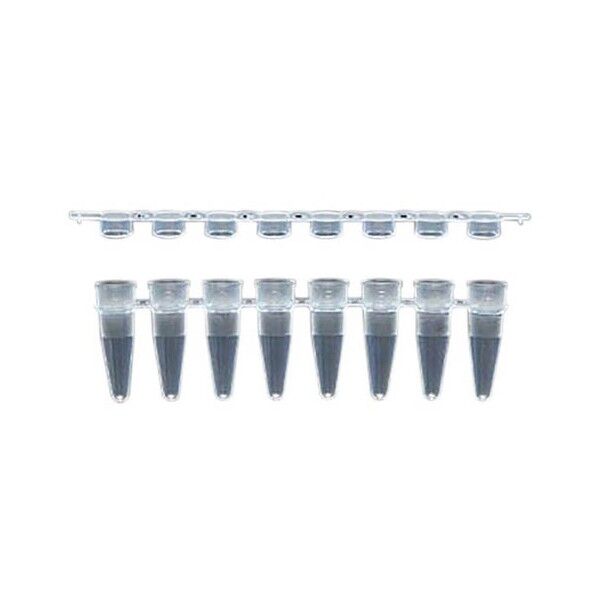 PCR8連チューブ 0.2mL 120本