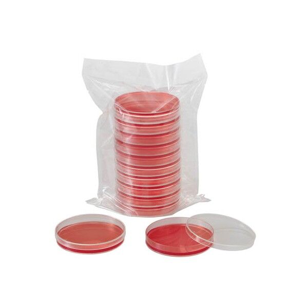 エコノミー生培地