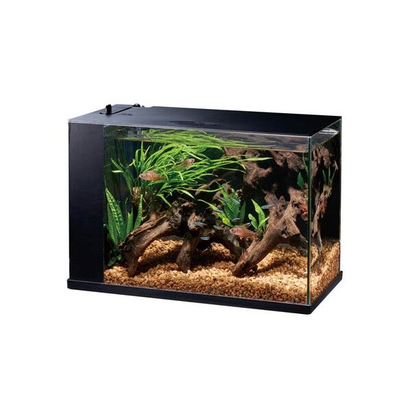 LED&フィルター付オールインワン水槽セット ラクテリア ブラック 1セット
