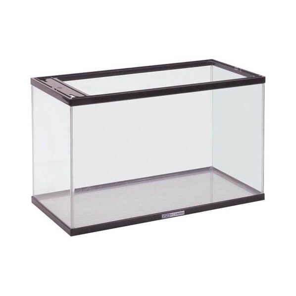 アクアリウム(ガラス水槽)