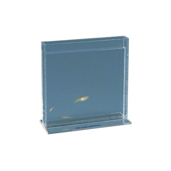 フラット観察槽