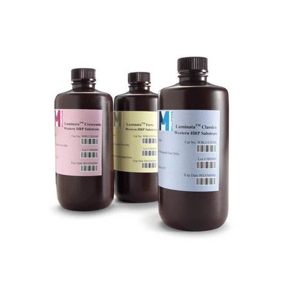 HRP化学発光検出試薬(ルミナタ) 500mL WBLUR0500 1個