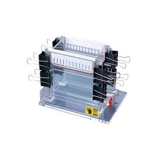 垂直型電気泳動装置