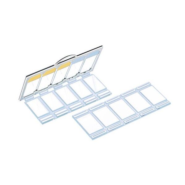 プレートステイン