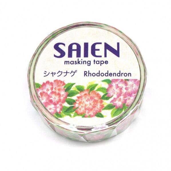 TR-0195井口喜美子シャクナゲ