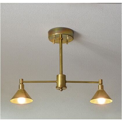 インダストリアルライト 真鍮生地2灯ペンダントライト