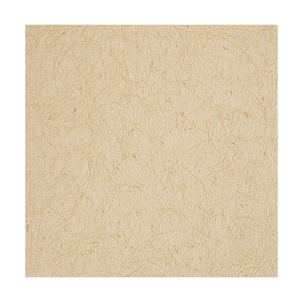 ルノンホーム壁紙