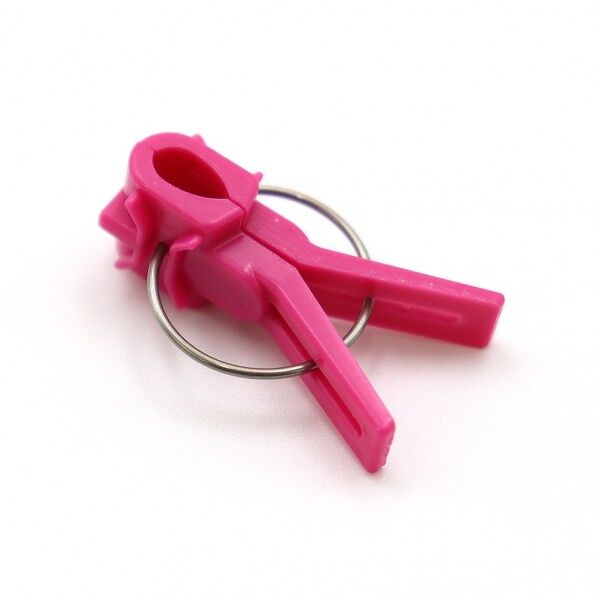 接木フレントﾞハﾞイオレット