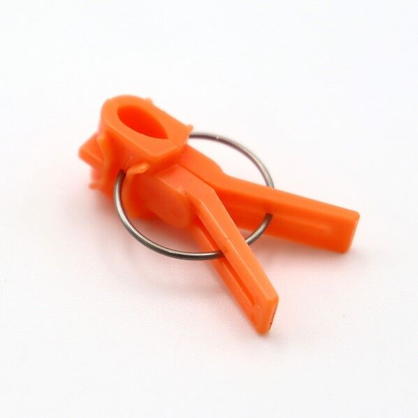 接木フレンドオレンジ