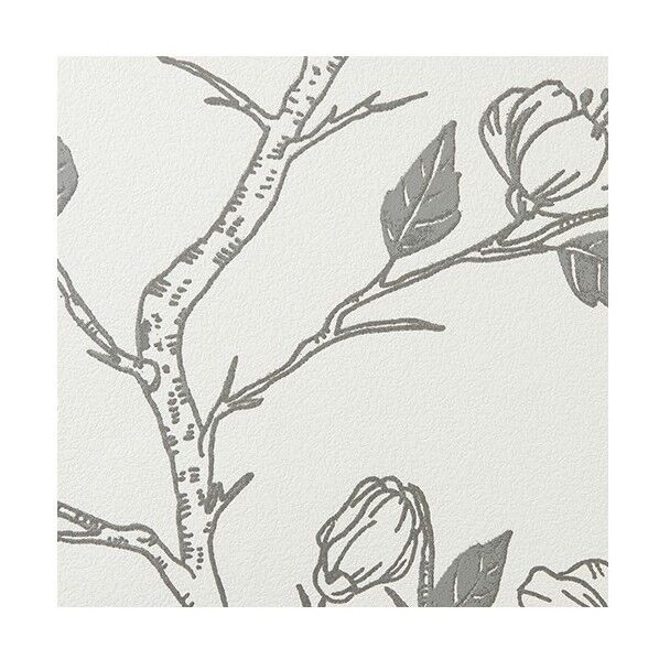 ルノンフレッシュ壁紙