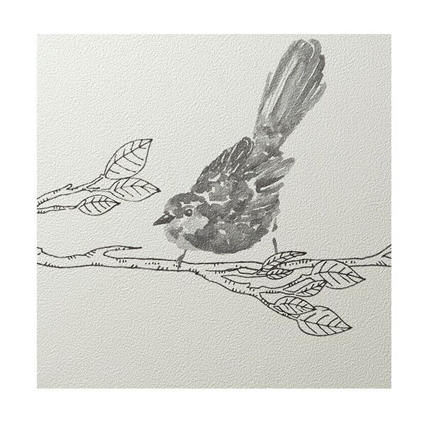 ルノンフレッシュ壁紙