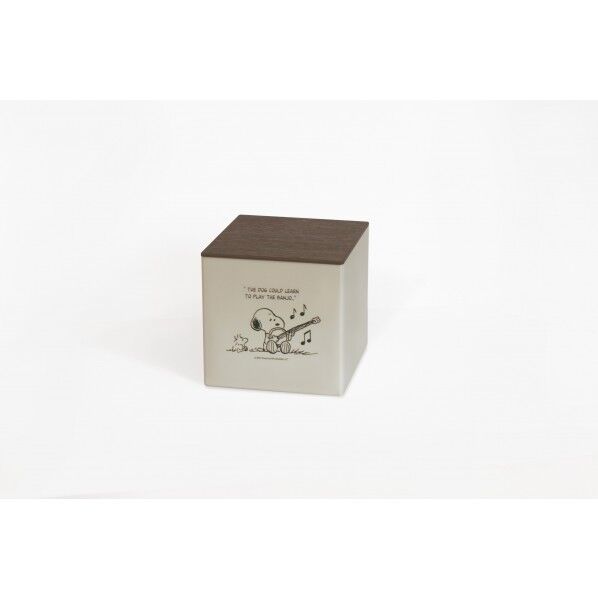 スヌーピーフタ付ティッシュケースBE